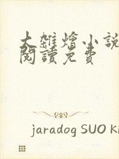 大杂烩小说全集阅读免费