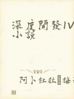 深度开发1V3小说