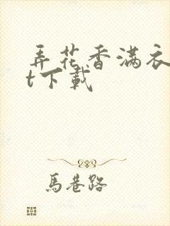 弄花香满衣txt下载