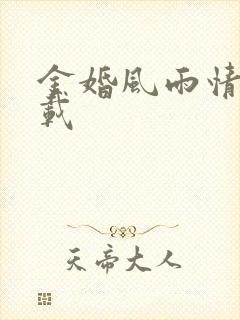 金婚风雨情 下载