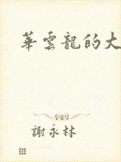 华云龙的大宝贝