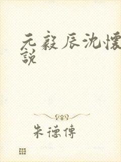 元毅辰沈怀妆小说