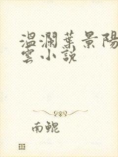 温澜叶景阳温云云小说