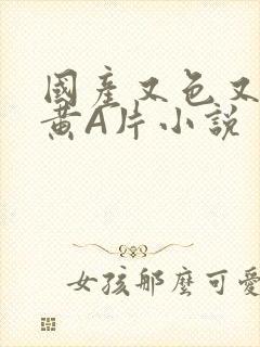 国产又色又爽又黄A片小说