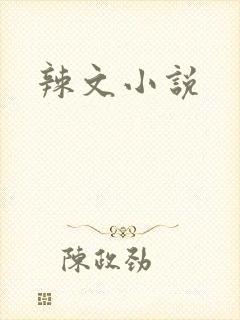 辣文小说