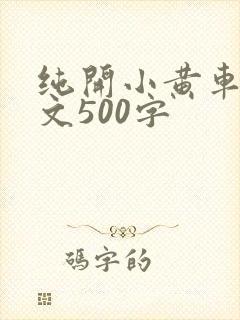 纯开小黄车小短文500字
