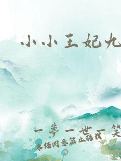 小小王妃九岁半