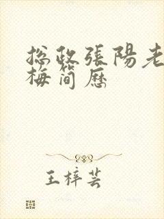 总政张阳老婆吕梅简历