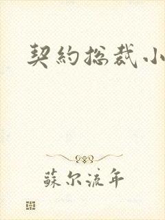 契约总裁小萌宝