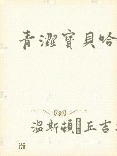 青涩宝贝哈烧恋