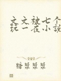 文文被七个男人玩一夜小说