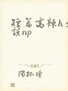 短篇高辣h文小说np
