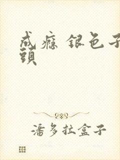 成瘾 银色子弹头