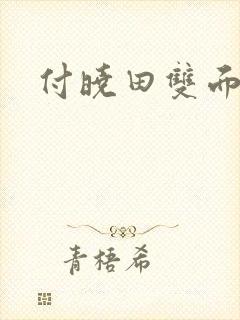 付晓田双面间谍