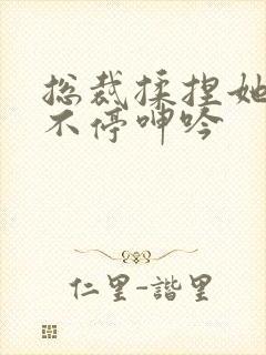 总裁揉捏她两乳不停呻吟