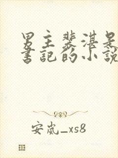 男主裴湛是省委书记的小说