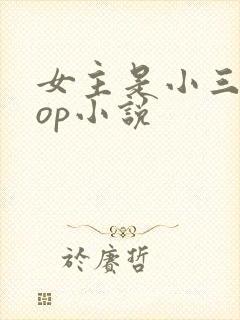 女主是小三的pop小说
