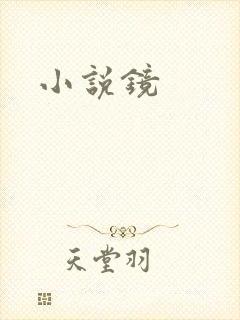 小说镜