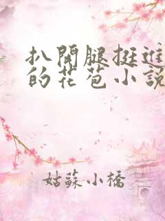 扒开腿挺进湿润的花苞小说