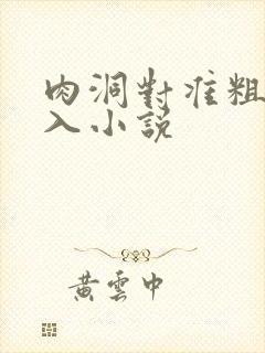 肉洞对准粗大坐入小说