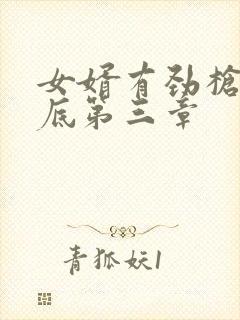 女婿有劲枪枪到底第三章