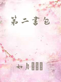 第二书包