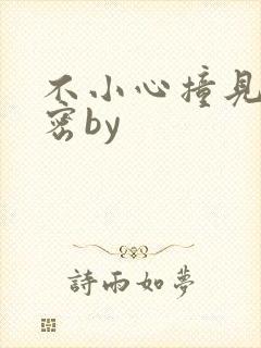 不小心撞见的秘密by