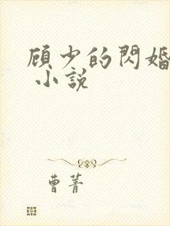 顾少的闪婚宠妻 小说