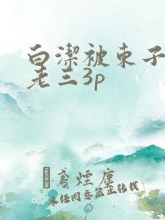 白洁被东子老二老三3p