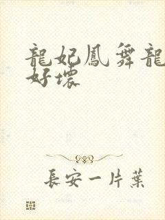 龙妃凤舞龙王你好坏