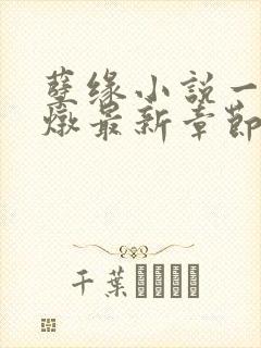 孽缘小说一家乱炖最新章节阅读