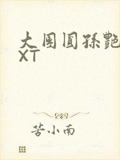 大团圆孙艳梅TXT