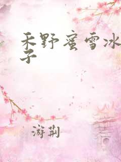禾野蜜雪冰城本子