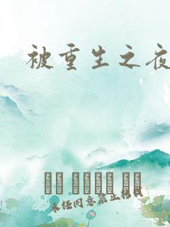 被重生之夜王