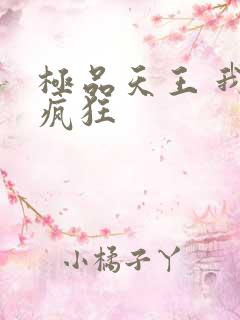 极品天王 我本疯狂