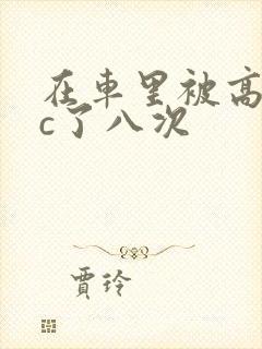 在车里被高潮被c了八次