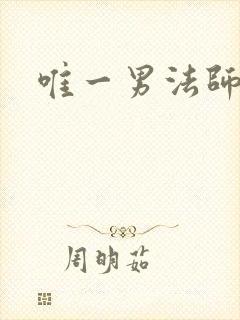 唯一男法师
