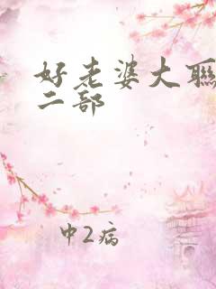 好老婆大联盟第二部