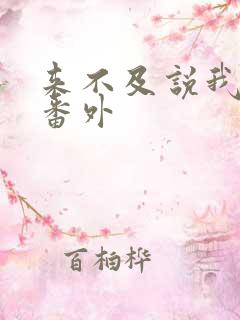 来不及说我爱你番外