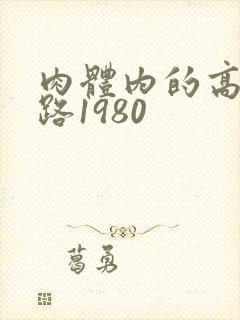 肉体内的高速公路1980