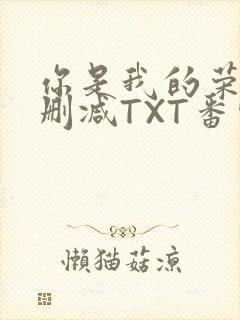 你是我的荣耀未删减TXT番外
