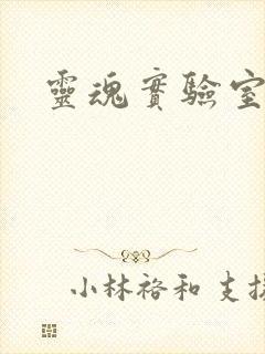 灵魂实验室
