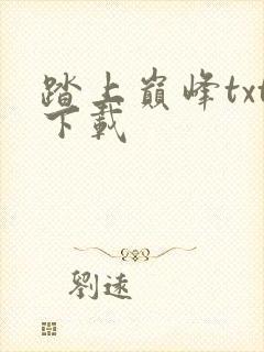 踏上巅峰txt下载