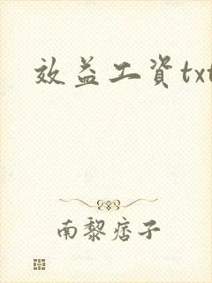 效益工资txt