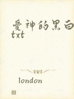 爱神的黑白羽翼txt