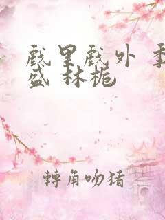 戏里戏外 季淮盛 林栀