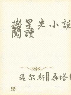 捞星光小说免费阅读