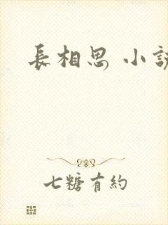 长相思 小说