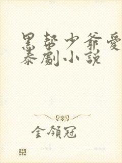 黑帮少爷爱上我泰剧小说