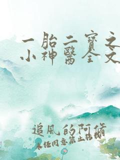 一胎二宝之弃妃小神医全文免费阅读